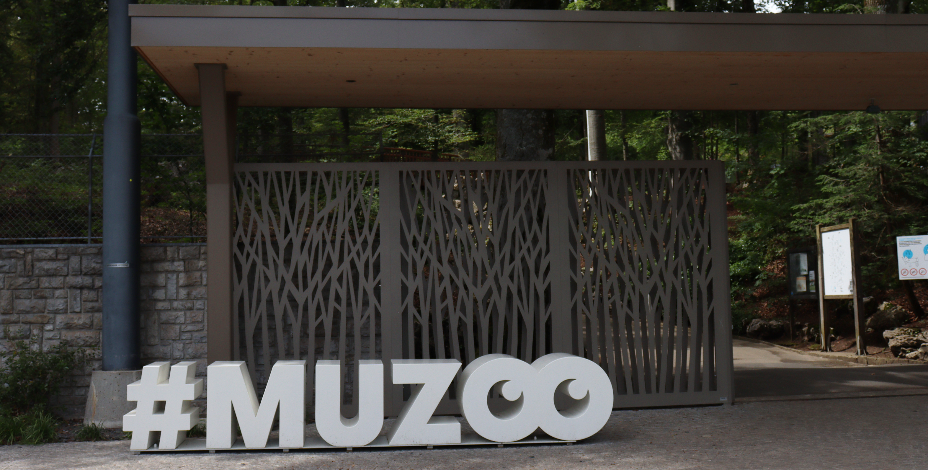 Le MUZOO (partie zoo) : une immersion vivante au cœur de la nature